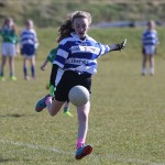 Mini 7's Football finals 2016 ; Photo Maurice Hennebry