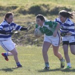 Mini 7's Football finals 2016 ; Photo Maurice Hennebry