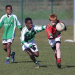 Mini 7's Football finals 2016 ; Photo Maurice Hennebry