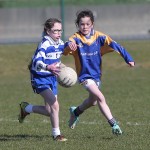 Mini 7's Football finals 2016 ; Photo Maurice Hennebry