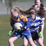 Mini 7's Football finals 2016 ; Photo Maurice Hennebry