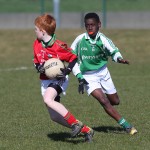 Mini 7's Football finals 2016 ; Photo Maurice Hennebry