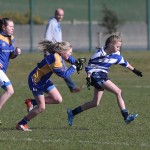 Mini 7's Football finals 2016 ; Photo Maurice Hennebry