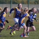 Mini 7's Football finals 2016 ; Photo Maurice Hennebry