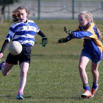 Mini 7's Football finals 2016 ; Photo Maurice Hennebry