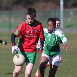 Mini 7's Football finals 2016 ; Photo Maurice Hennebry