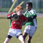 Mini 7's Football finals 2016 ; Photo Maurice Hennebry