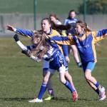 Mini 7's Football finals 2016 ; Photo Maurice Hennebry