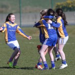 Mini 7's Football finals 2016 ; Photo Maurice Hennebry