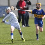 Allianz Cunann na mBunscol Mini 7's Hurling Finals 2016