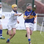 Allianz Cunann na mBunscol Mini 7's Hurling Finals 2016