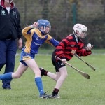 Eastern Mini 7's Camogie Finals 2016