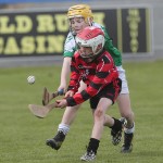 Allianz Cunann na mBunscol Mini 7's Hurling Finals 2016