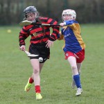 Eastern Mini 7's Camogie Finals 2016