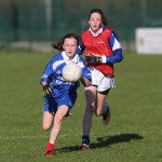 Allianz Cumann-na-mbunscol Eastern Girls Football Finals