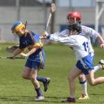 Allianz Cunann na mBunscol Mini 7's Hurling Finals 2016