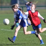 Allianz Cumann-na-mbunscol Eastern Girls Football Finals