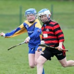 Eastern Mini 7's Camogie Finals 2016