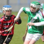 Allianz Cunann na mBunscol Mini 7's Hurling Finals 2016