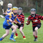 Eastern Mini 7's Camogie Finals 2016