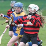 Eastern Mini 7's Camogie Finals 2016