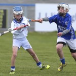 Allianz Cunann na mBunscol Mini 7's Hurling Finals 2016