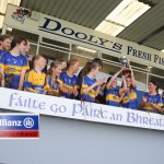 Portlaw NS v Glór na Mara Allianz Eastern Roínn B U13 Camogie Final