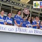 Newtown/Ballydurn NS v Clonea Allianz Eastern Roínn C U13 Camogie Final