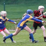 Eastern Mini 7's Camogie Finals 2016