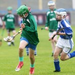 Fenor v Newtown/Ballydurn U13 Eastern Allianz Cumann na mBunscol