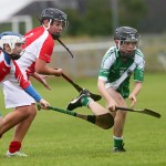 Clonea v Ballyduff Allianz Roinn C Eastern Hurling Final