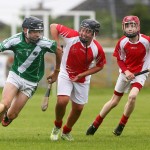 Clonea v Ballyduff Allianz Roinn C Eastern Hurling Final