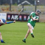 Clonea v Ballyduff Allianz Roinn C Eastern Hurling Final