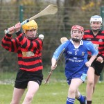 Eastern Mini 7's Camogie Finals 2016