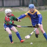 Eastern Mini 7's Camogie Finals 2016