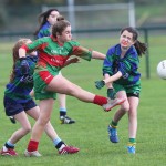 Allianz Cumann-na-mbunscol Eastern Girls Football Finals