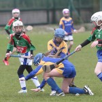 Eastern Mini 7's Camogie Finals 2016