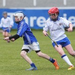 Allianz Cunann na mBunscol Mini 7's Hurling Finals 2016