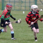 Eastern Mini 7's Camogie Finals 2016