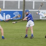 Allianz Cunann na mBunscol Mini 7's Hurling Finals 2016