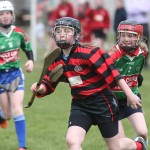 Eastern Mini 7's Camogie Finals 2016