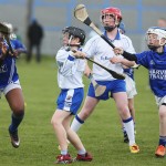 Allianz Cunann na mBunscol Mini 7's Hurling Finals 2016