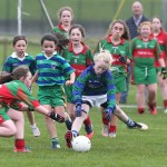 Allianz Cumann-na-mbunscol Eastern Girls Football Finals