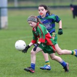 Allianz Cumann-na-mbunscol Eastern Girls Football Finals