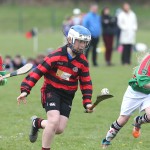 Eastern Mini 7's Camogie Finals 2016