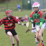 Eastern Mini 7's Camogie Finals 2016