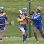 Eastern Mini 7's Camogie Finals 2016