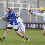 Allianz Cunann na mBunscol Mini 7's Hurling Finals 2016