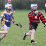 Eastern Mini 7'S Camogie Finals 2016 : Photo Maurice Hennebry