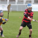 Allianz Cunann na mBunscol Mini 7's Hurling Finals 2016